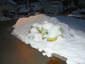 Müllberge unter Schneebergen: Der Winter bereitet Probleme bei der Abfuhr von Gelben Säcken und Tonnen. Foto: Münch