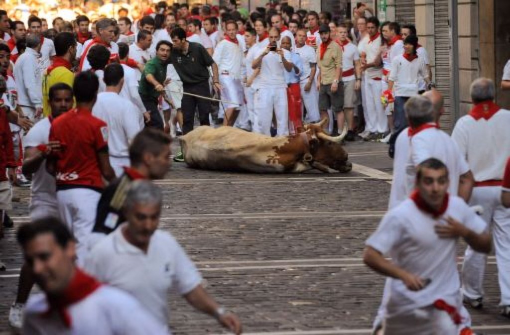 Tierschützer kritisieren das alljährlich stattfindende San Fermin Fest in Pamplona bereits seit Jahren.