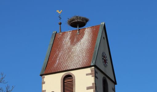 Der Storchennachwuchs in Mühlheim hat nicht überlebt. Die Initiative hofft nun auf eine zweite Brut. Foto: Polet