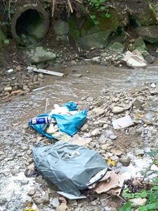 Illegal entsorgter Abfall ist in Thanheim für Ärger, wie dieses Bild zeigt. Foto: Privat