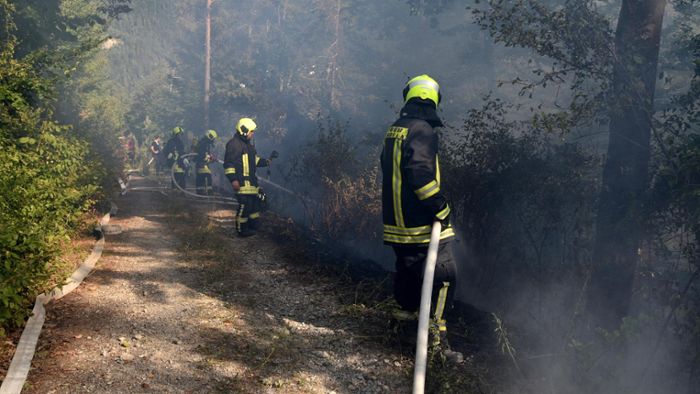 Mehr als 100 Feuerwehrleute üben Löschung von Waldbränden