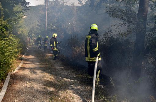 Mehr als 100 Feuerwehrleute aus dem Zollernalbkreis üben am Samstag die Bekämpfung von Wald- und Wiesenbränden. Foto: Wagner