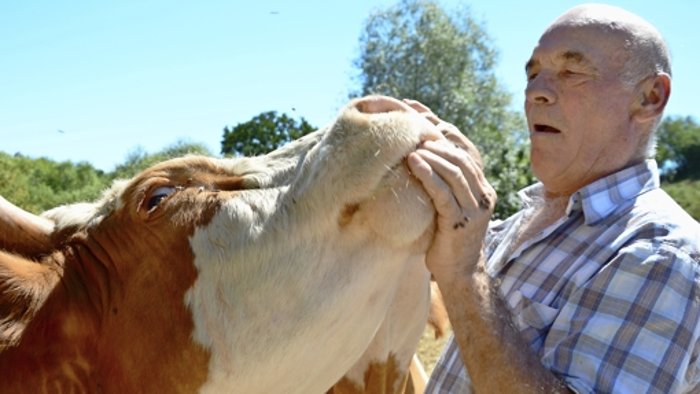 Rinderflüsterer von Balingen wird Fall für die EU