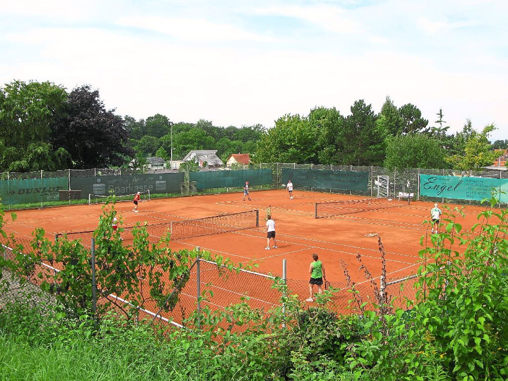 Die Plätze der Tennisabteilung Oberschopfheim sollen in diesem Jahr für 5500 Euro saniert werden. Für die Pflege der Büsche und Bäume übernehmen die Vereinsmitglieder künftig selbst Verantwortung.