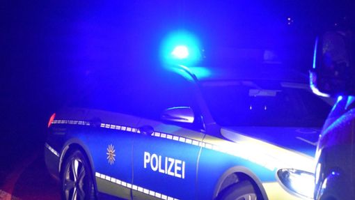 Bei einer Verkehrskontrolle in Villingen hat die Polizei einen alkoholisierten Autofahrer aus dem Verkehr gezogen. (Symbolfoto) Foto: Nölke