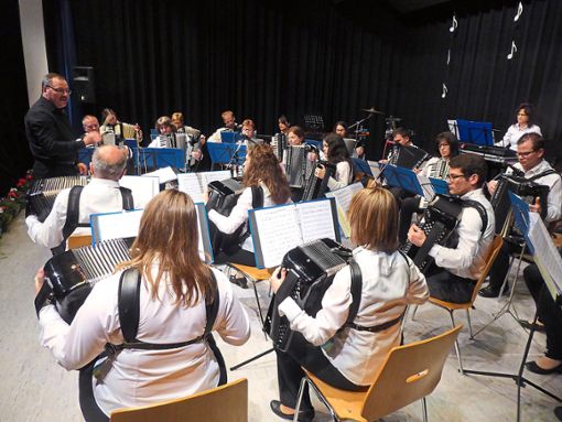 Das Akkordeon-Orchester Gutach begeisterte das Publikum beim Jahreskonzert in der Festhalle mit Melodien aus der Welt des Films und Klassik. Fotos: Dorn Foto: Schwarzwälder Bote