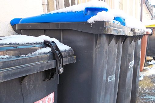 Wo darf die Mülltonne aufgestellt werden und wo nicht? Über diese Frage haben sich zwei Familien in Schwenningen in die Haare bekommen. (Symbolbild) Foto: Rath