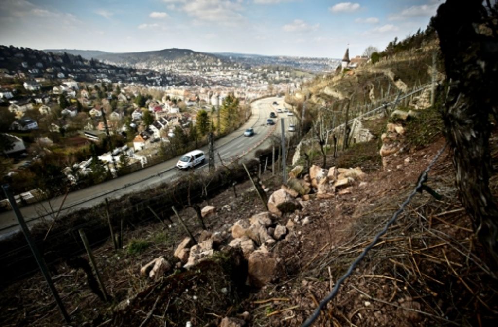 Noch wachsen Reben an der Weinsteige – doch auch in Stuttgart werden die Lücken bei der Bewirtschaftung arbeitsintensiver Steillagen immer deutlicher sichtbar. Foto: Leif Piechowski
