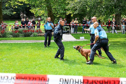 Selbst mit Maulkorb flößt der Polizeihund Respekt ein. Foto: Becker