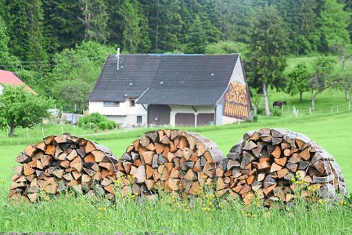 Jede Menge Holz.   Timm Kern findet,  das Land solle  im Zuge der Energiewende dieses Potenzial entfachen.  Foto: Rath Foto: Schwarzwälder Bote