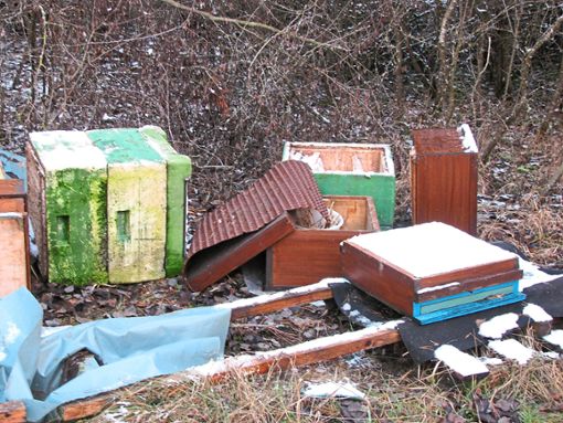 Zehntausende Tiere verendeten, weil Unbekannte fünf Bienenstände auf einem Gelände am Guggenbühl zerstörten. Foto: Kraft