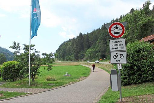 Auf den zwei Kilometern zwischen Mühlenbach und Haslach sollen entlang der B 294 51 LED-Masten aufgestellt werden. Foto: Störr Foto: Schwarzwälder Bote