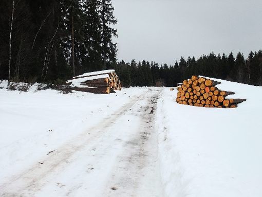 Die  Zufahrt zum Jagdrevier von der Kreisstraße K 5531 aus. Links die Unglücksstelle im Wald. Foto: Borho