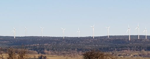 Der Windpark in Straubenhardt war Ziel von zwei Schulklassen aus Birkenfeld. Der Regionalverband Nordschwarzwald hatte eingeladen, um über die Energiewende zu informieren.Archiv-Foto: Kugel Foto: Schwarzwälder Bote