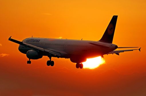 Die Lufthansa hat gute Chancen, nach der Krise gestärkt in den neuen Wettbewerb zu starten. Foto: dpa//Boris Roessler