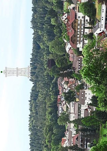 So könnte der Aussichtsturm in Oberlengenhardt aussehen.  Foto: Ingenieuerbüro Braun Foto: Schwarzwälder-Bote