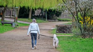 Hundehalter in Ettenheim müssen künftig mehr Hundesteuer bezahlen. Foto: Tittel