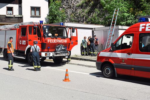 Die Feuerwehren von Lauterbach und Schramberg waren mit jeweils zwei Fahrzeugen am Lauterbacher Brestenberg im Einsatz.  Foto: Borho