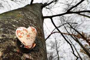Ein Plastikherz mit der Aufschrift Ich denk an Dich hängt  an einem Baum im Friedwald in Heiligenberg. Auch in Nagold wird das Thema Naturbestattungen untersucht. Foto: Kästle
