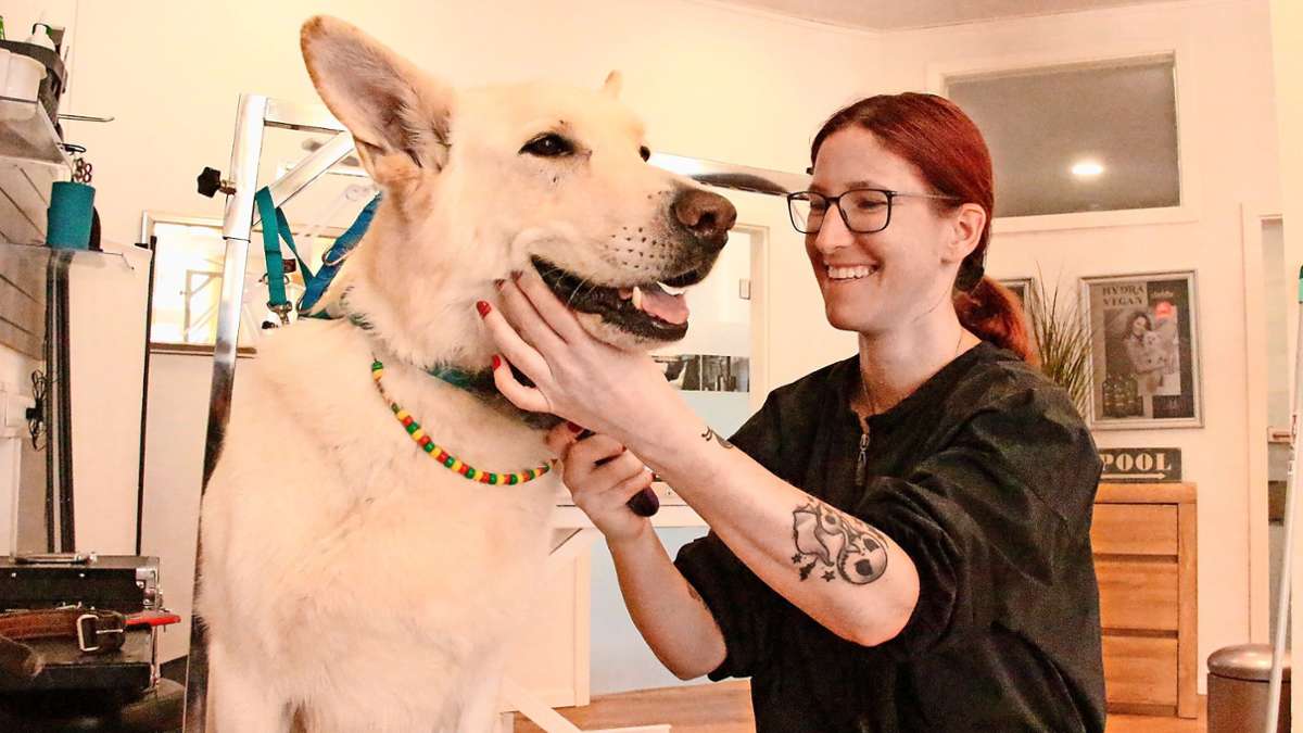 Fellpflege Meluna - Hundefriseur