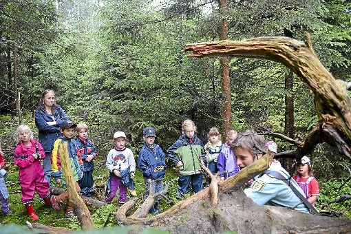 Mit einem neuen Hüttle im Wald würde unter anderem ein Standort für Kindergarten und Schule geschaffen.  Foto: Hettich-Marull Foto: Schwarzwälder-Bote