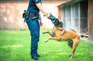 Hundetraining ohne Schmerzen: Verordnung erschwert Polizei die Ausbildung der Vierbeiner