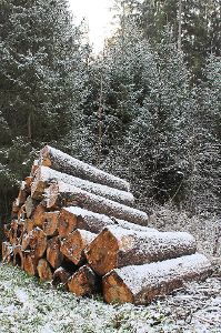 Holzverkäufe bringen wieder gute Einnahmen für die Stadtkasse.   Foto: D. Maier Foto: Schwarzwälder-Bote