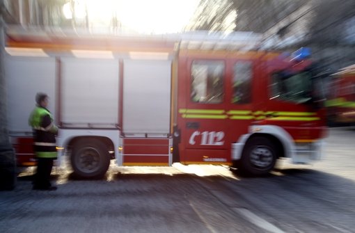 Die Schwenninger Feuerwehr konnte den beginnenden Brand zweier Kiefern schnell löschen. Foto: dpa/Symbolbild