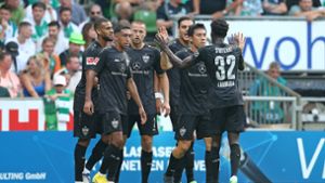 Stärken und Schwächen – der VfB-Kader im Check