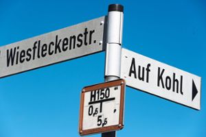 Die Anbindung über die Wiesfleckenstraße wäre gegeben, das Gebiet Auf Kohl könnte das nächste Baugebiet werden.  Foto: Maier Foto: Schwarzwälder Bote