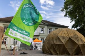 Die Aktivisten von Fridays for Future sehen den Einstieg der Thüga bei den Konstanzer Stadtwerken kritisch. Foto: dpa/Philipp von Ditfurth