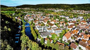 Nagold  wächst. Eines der großen und teuren Zukunftsthemen sind die Um- und  Neubauten von Zellerschule und OHG (Mitte). Foto: Thomas Fritsch