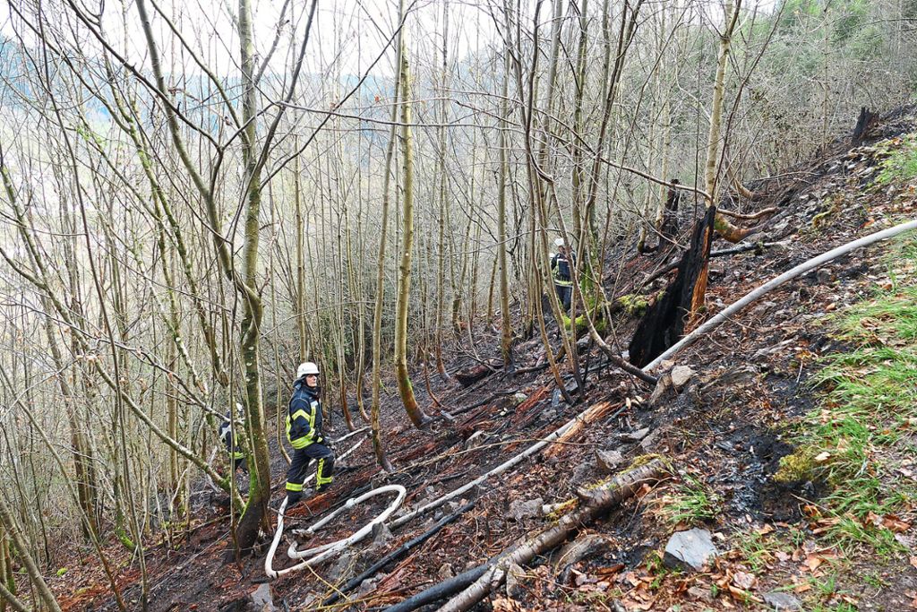 Durch den schnellen Löscheinsatz der Feuerwehren aus Wolfach, Hausach und Gutach bestand keine Gefahr, dass das Feuer auf den Wald übergreift. Foto: Bea Foto: Schwarzwälder Bote