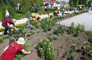Gartenschau blüht neu: Neue Pflanzen prägen das Bild der Gartenschau in Balingen