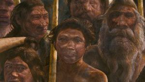 Forscher präsentieren 400.000 Jahre altes Erbgut