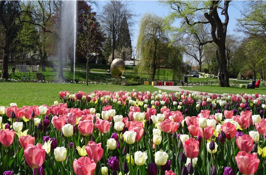 Farbenprächtige Blumen im Hofgarten und landschaftliche Gestaltungskonzepte locken zur Landesgartenschau 2016 in Öhringen.