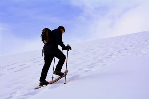 Eine Schneeschuhwanderung findet im Hochschwarzwald statt.  Foto: Pixabay Foto: Schwarzwälder Bote
