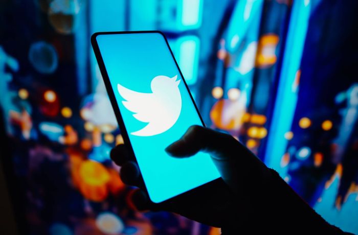Soziale Netzwerke: Warum Twitter wichtig für die Politik ist