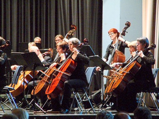 Das Tübinger Ärzteorchester ist in der Stadthalle Museum in Hechingen aufgetreten. Foto: Beyer Foto: Schwarzwälder-Bote