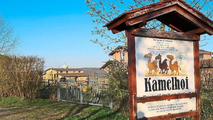Nach Brand: Kamelhof in Rotfelden wird Freizeitanlage 