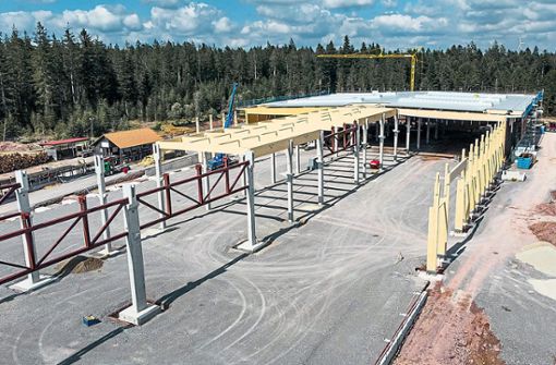 Sichtbare Fortschritte macht der Bau des neuen HolzBauWerks Schwarzwald in Besenfeld.  Foto: Belser