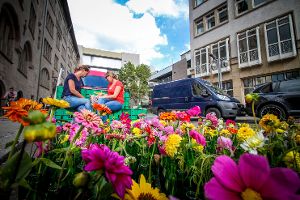 Es grünt und blüht auf Stuttgarts Parkplätzen - zumindest für einen Tag. Die Idee des Park-ing Day kommt aus den USA. Foto: www.7aktuell.de | Robert Dyhringer