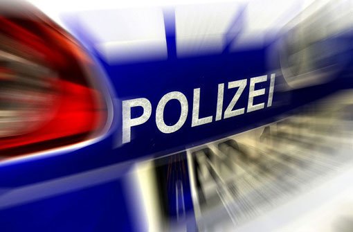 Ein junger BMW-Fahrer hat am Neujahrsmorgen in Kornwestheim mit seinem Auto großen Sachschaden angerichtet.  Foto: Bundespolizei/Symbolbild
