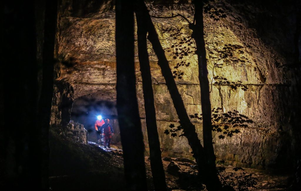 Die Falkensteiner Höhle Foto: Christoph Schmidt/dpa
