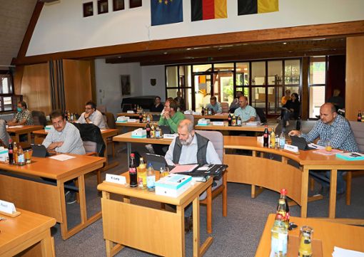 Zum ersten Mal seit zweieinhalb Monaten traf sich der Ebhauser Gemeinderat zu einer Präsenzsitzung – mit dem gebührenden Abstand.Foto: Priestersbach Foto: Schwarzwälder Bote