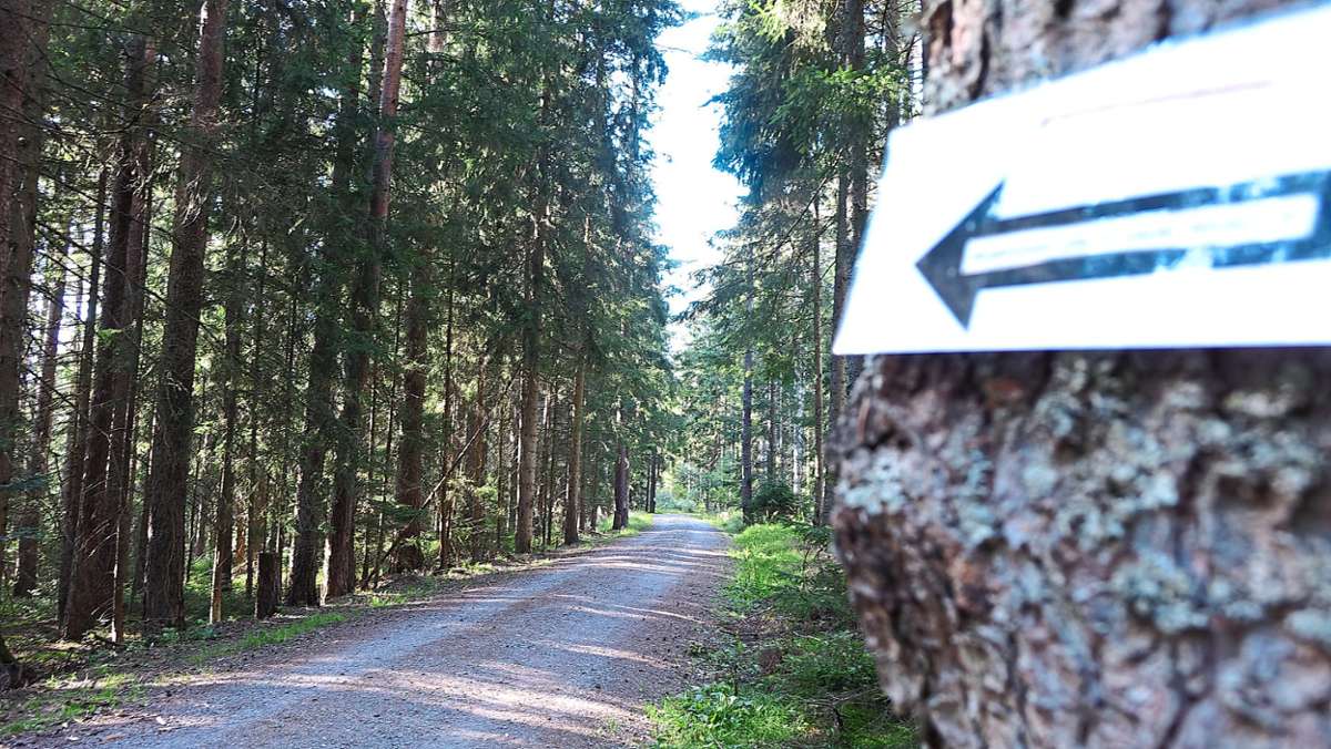 Immer den Pfeilen nach – die Schilder weisen den Weg durch den Wald.  Foto: Moser