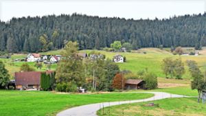 Besprechung des Gemeinderats: Alternative zu Kanalbau in Sulzbach?