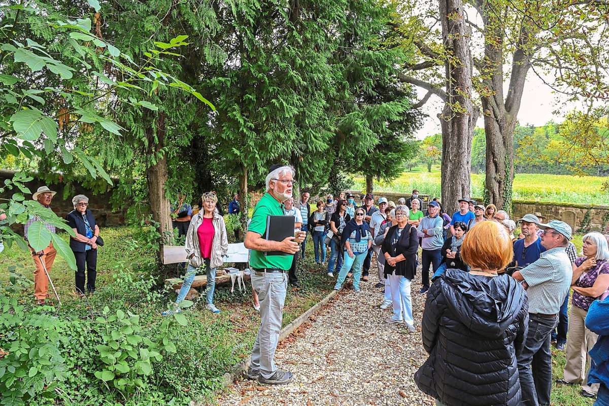Rund hundert Besucher nutzten die Gelegenheit, mit Fördervereinsvorsitzenden Jürgen Stude, den Schmieheimer Judenfriedhof zu erkunden. Foto: Decoux-Kone