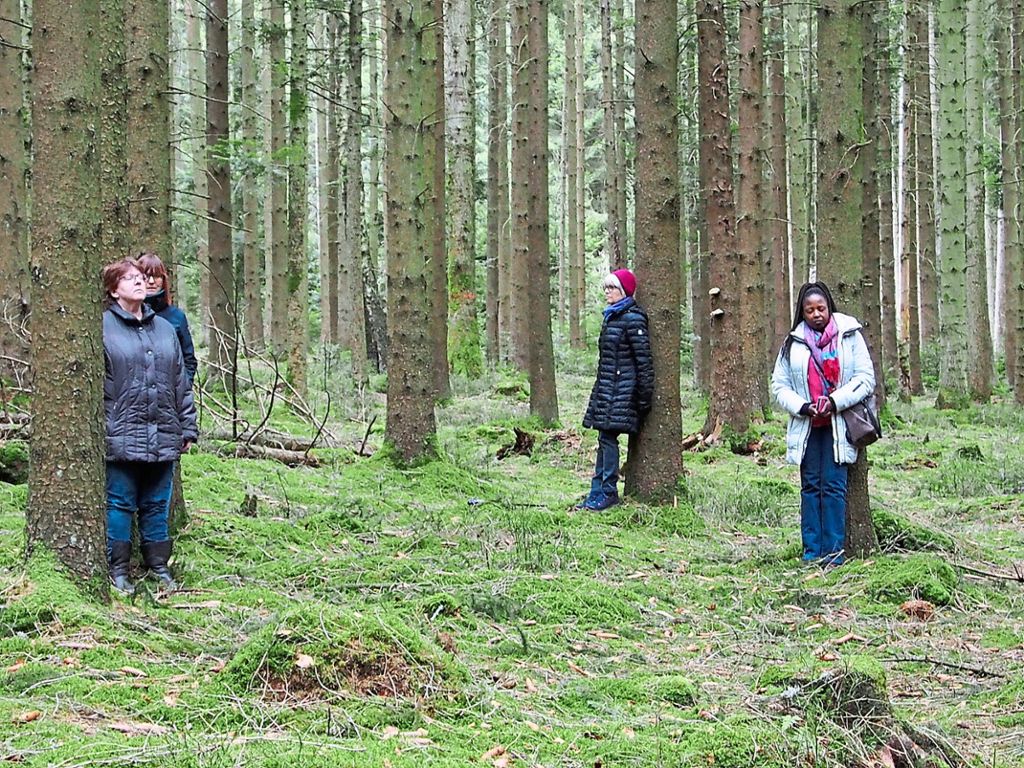 Die Teilnehmer am Waldbaden meditieren an einem  ausgewählten Baum. Fotos: Hild Foto: Schwarzwälder Bote