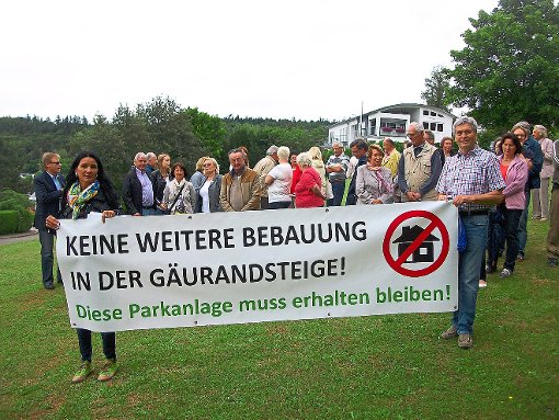 Bewohner des mittleren Steinbergs protestieren gegen die weitere Bebauung vor ihrer Haustüre. Foto: Mikulcic